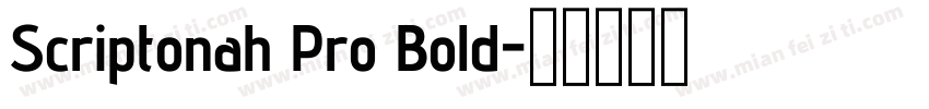 Scriptonah Pro Bold字体转换
